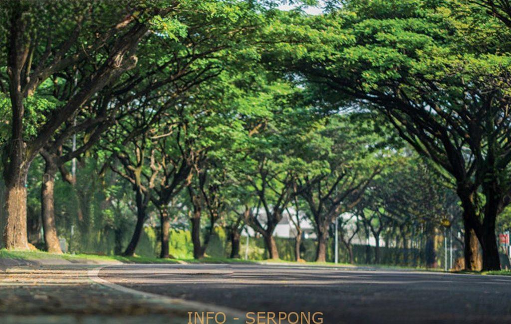 Gramercy Green Tunnel